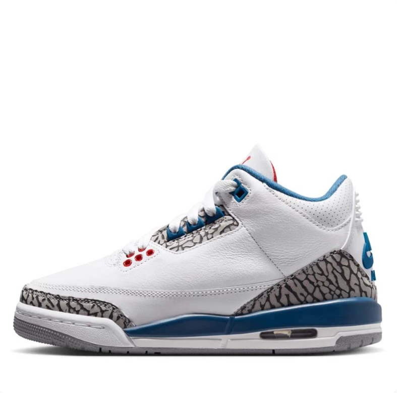 Air Jordan 3 White & Blue Sneakers with Elephant-Print Details