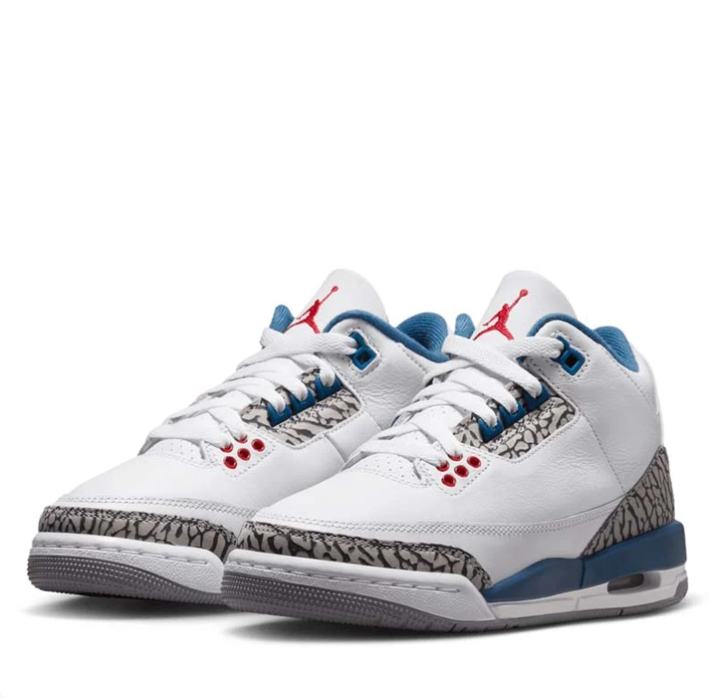 Air Jordan 3 White & Blue Sneakers with Elephant-Print Details