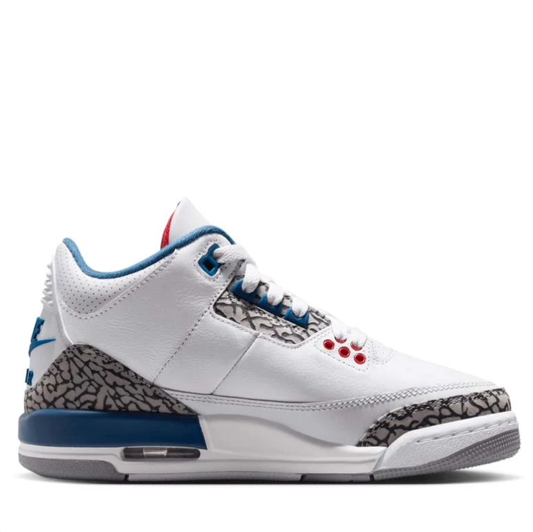 Air Jordan 3 White & Blue Sneakers with Elephant-Print Details
