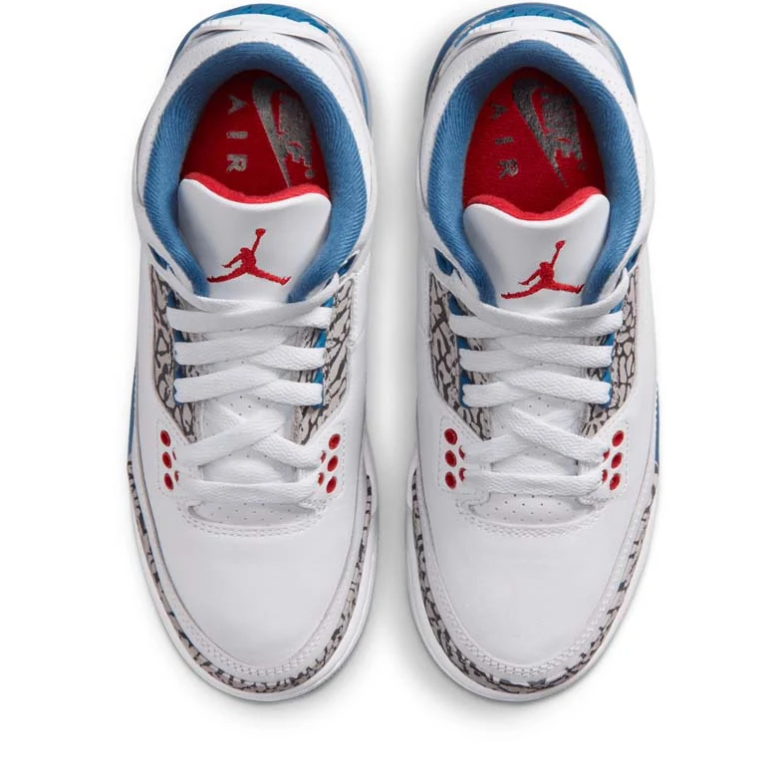 Air Jordan 3 White & Blue Sneakers with Elephant-Print Details